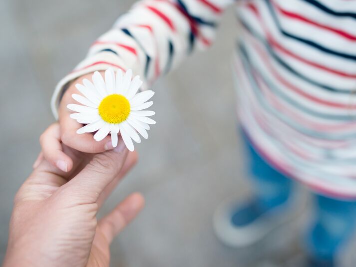 Sozialpädagogische Familienhilfe